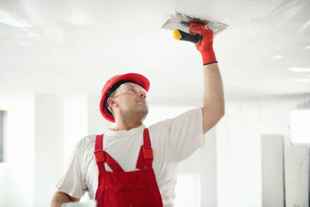 Best Commercial Painting  in Waite Park, MN